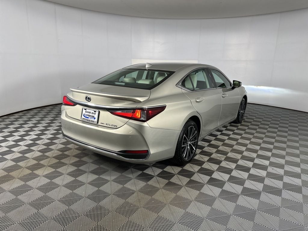 2023 Lexus ES 250