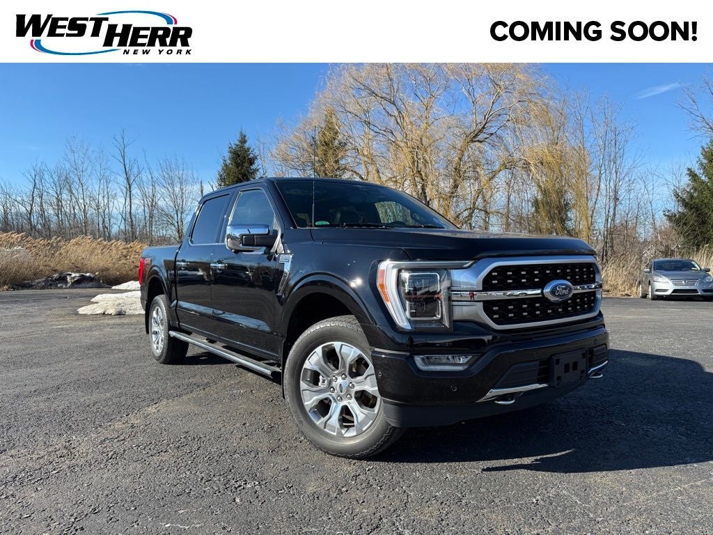 2023 Ford F-150 Platinum