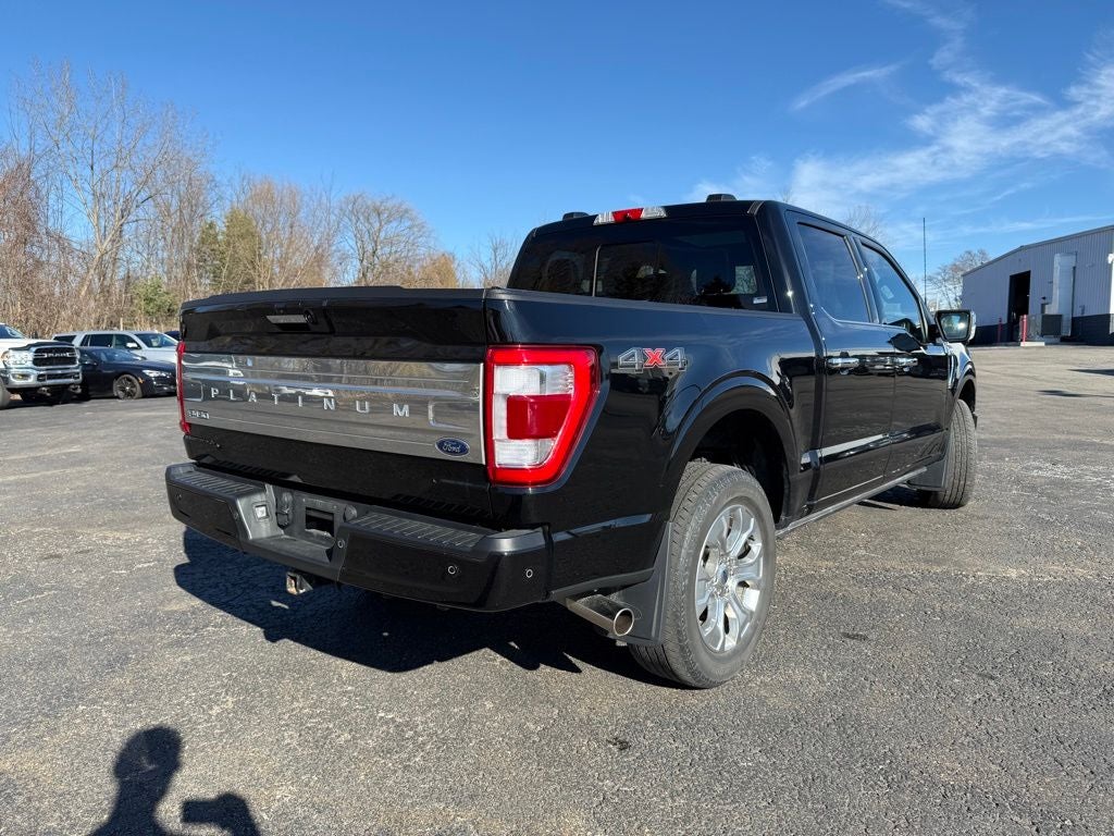 2023 Ford F-150 Platinum