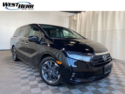 2023 Honda Odyssey Elite
