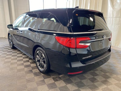 2023 Honda Odyssey Elite