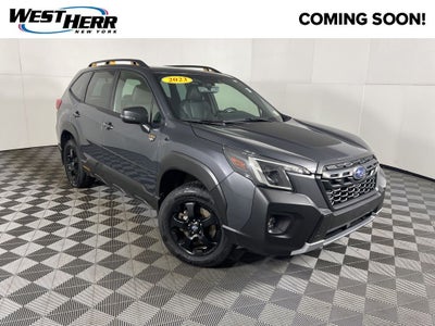 2023 Subaru Forester Wilderness