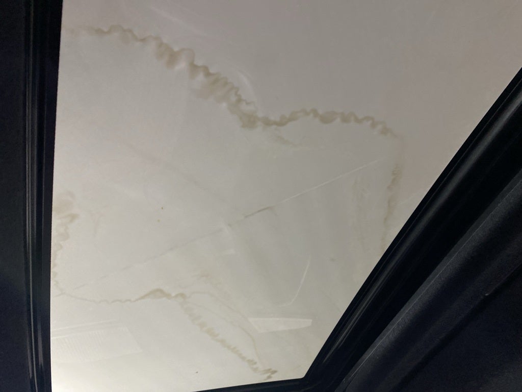 2024 Toyota Corolla XSE