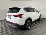 2023 Hyundai Santa Fe Hybrid Limited