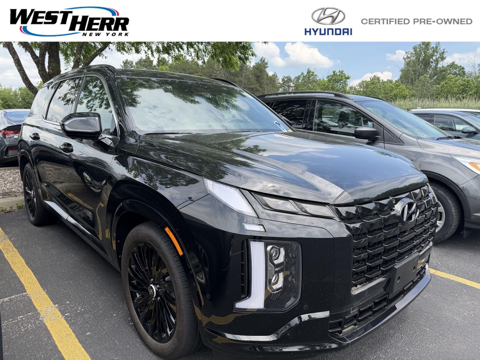 2025 Hyundai Palisade Calligraphy Night Edition