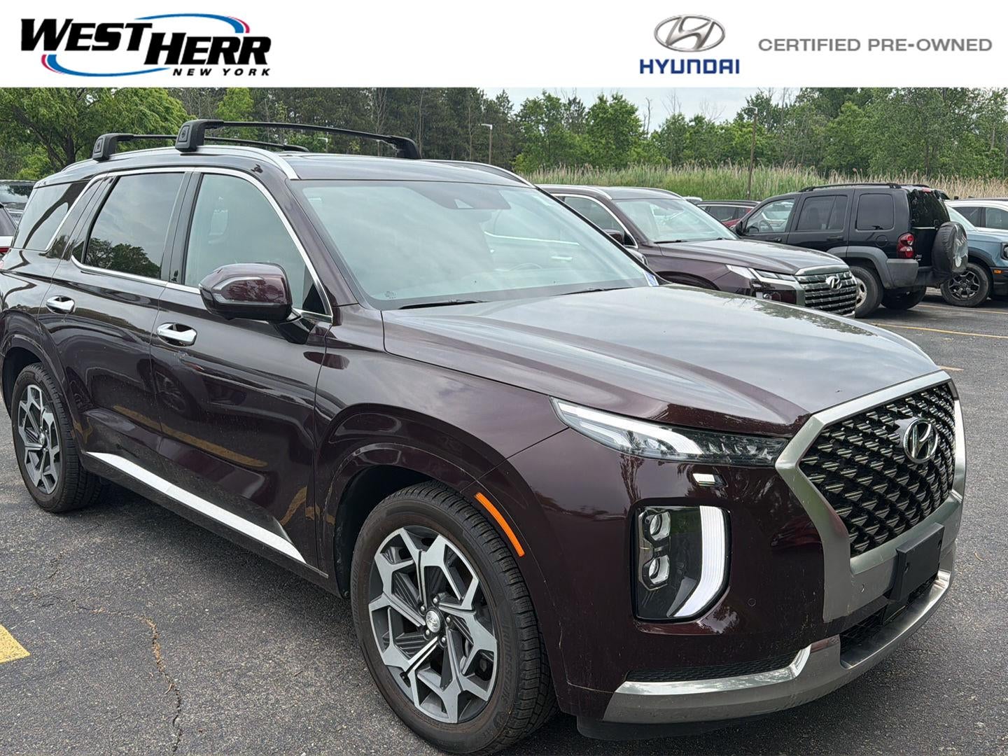 2022 Hyundai Palisade Calligraphy