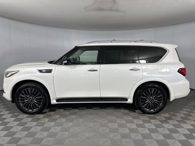 2023 INFINITI QX80 Premium Select