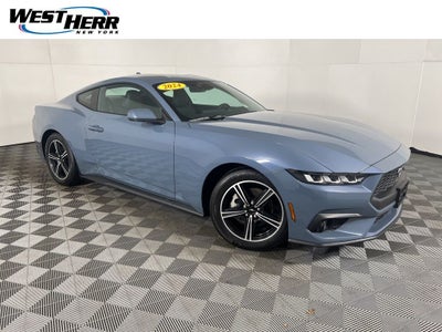 2024 Ford Mustang EcoBoost