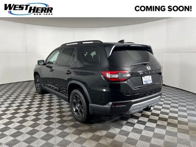 2025 Honda Pilot TrailSport