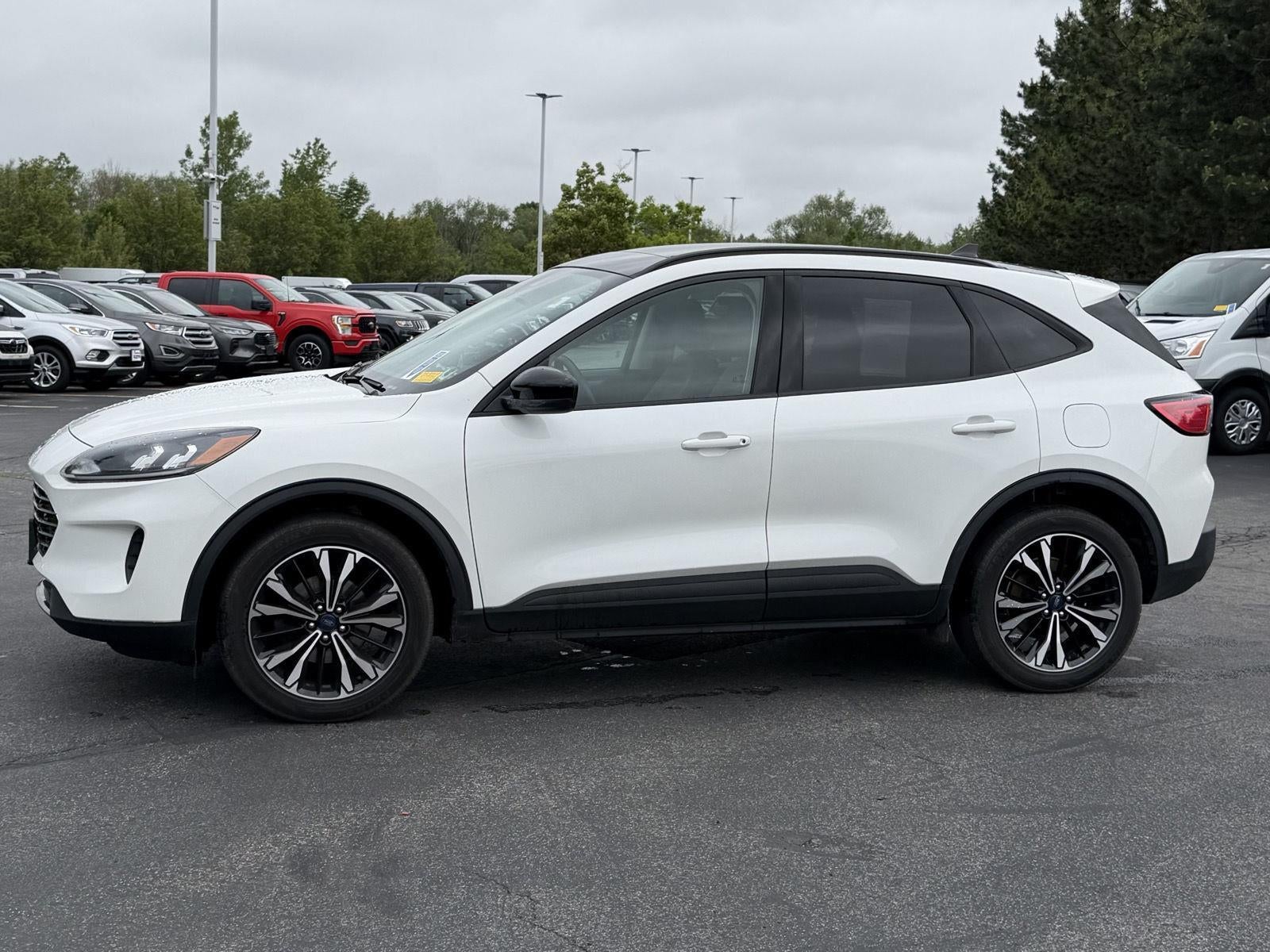 2022 Ford Escape SE