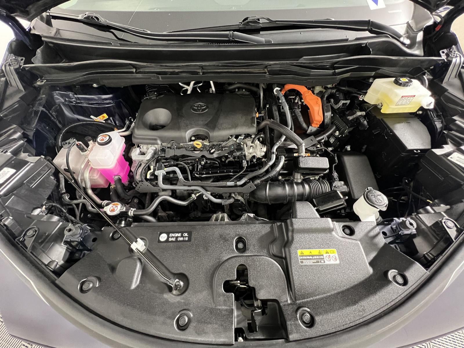 2025 Toyota Sienna XLE 7-Passenger