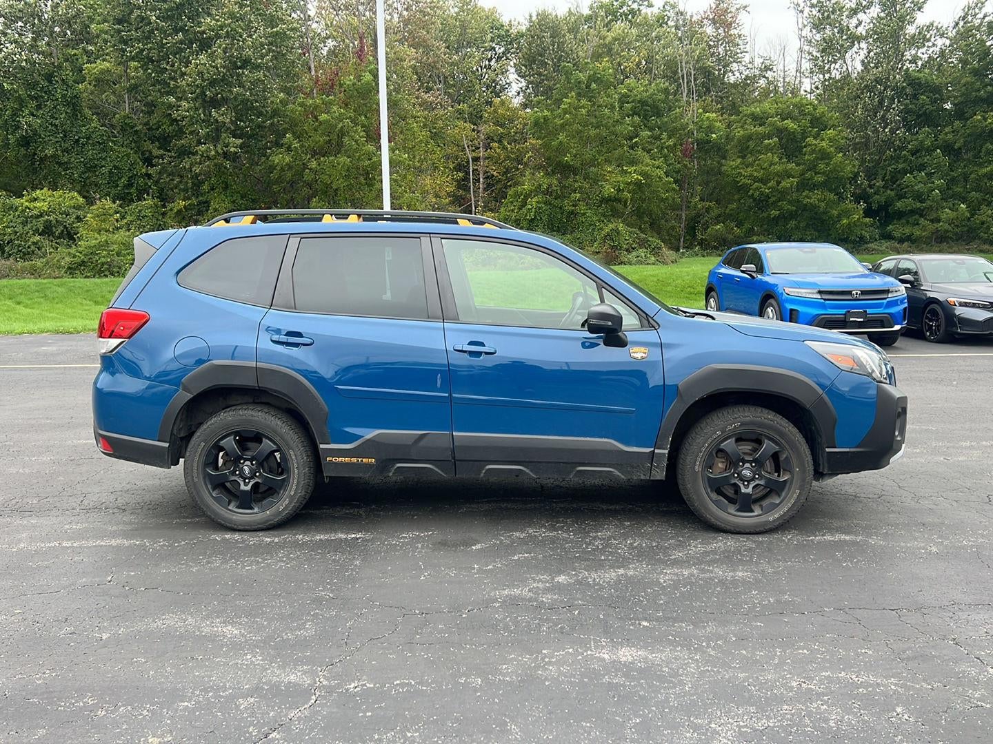 2023 Subaru Forester Wilderness