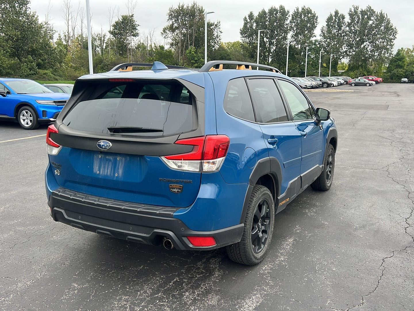 2023 Subaru Forester Wilderness