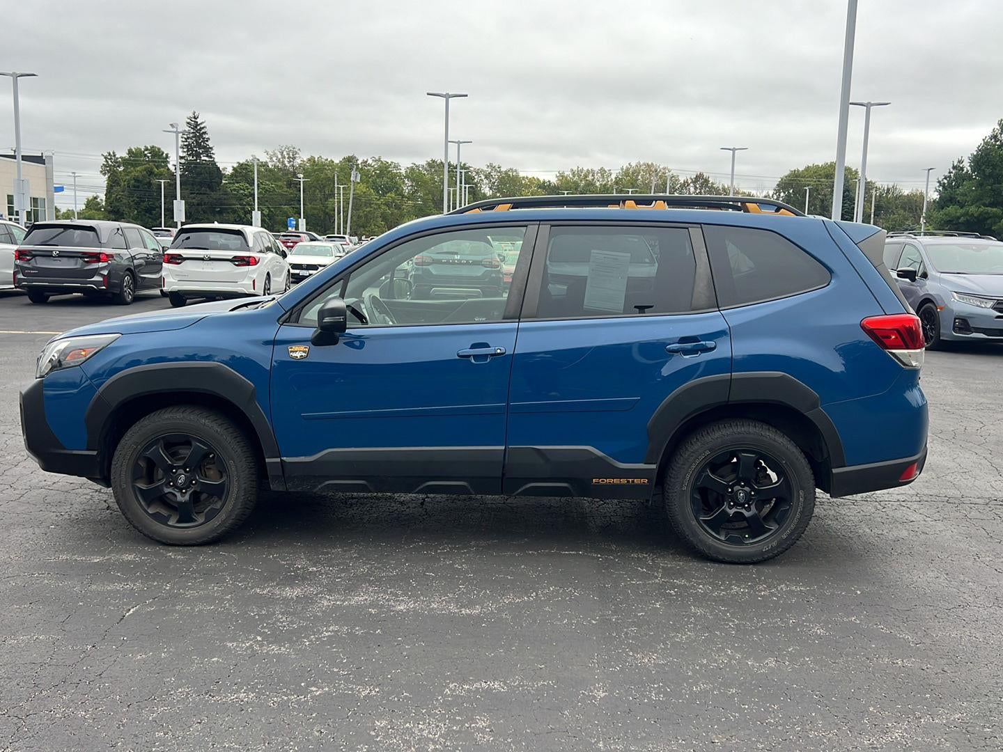 2023 Subaru Forester Wilderness