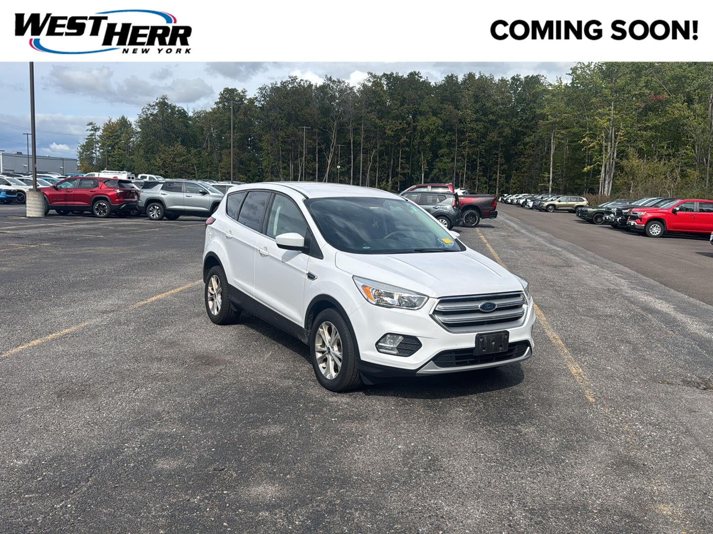 2019 Ford Escape SE