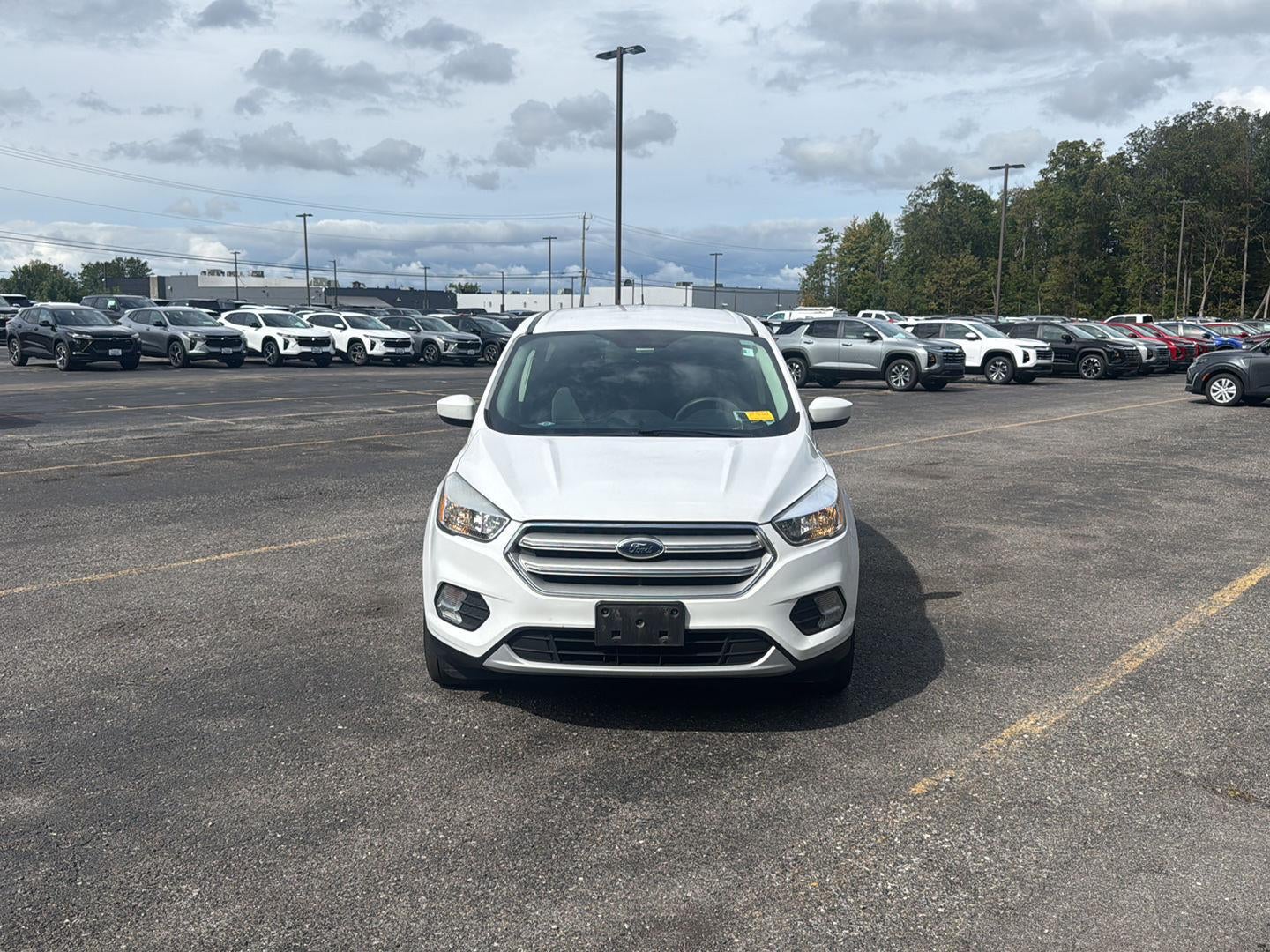 2019 Ford Escape SE