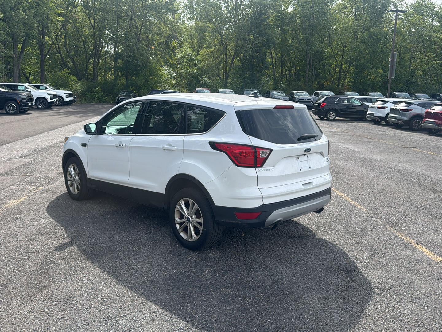 2019 Ford Escape SE