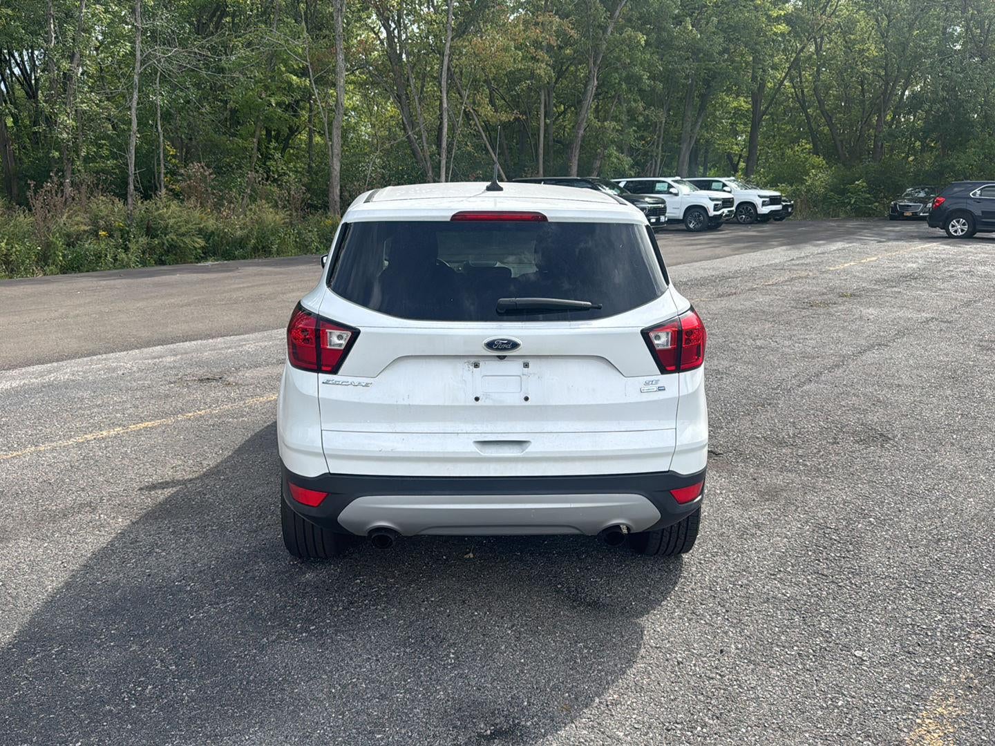 2019 Ford Escape SE