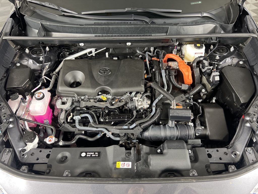 2025 Toyota RAV4 Hybrid XLE Premium