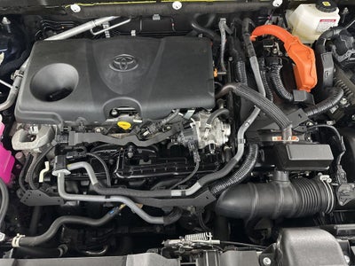 2024 Toyota Venza XLE